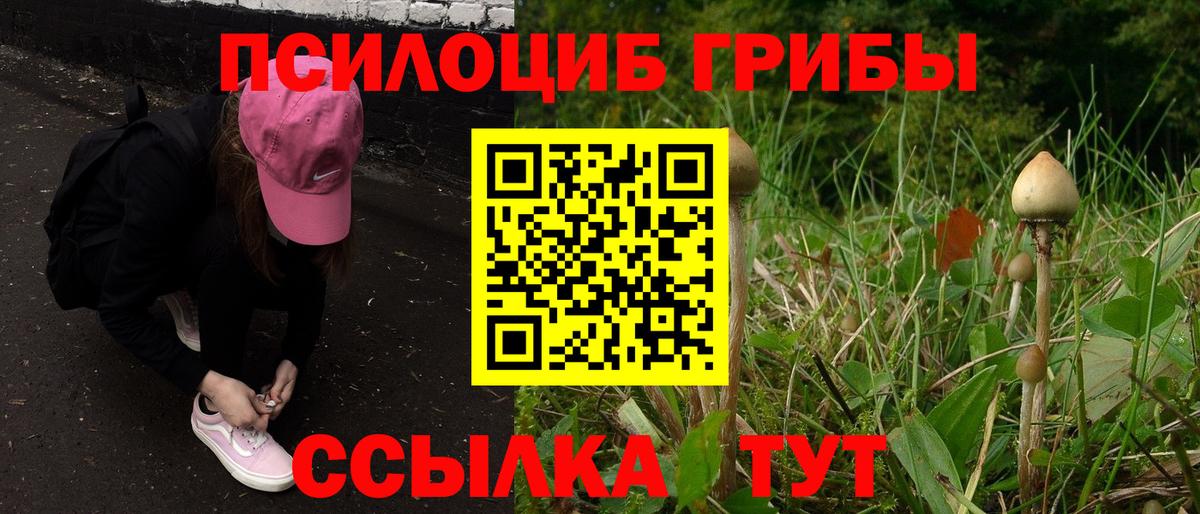 Псилоцибиновые грибы мухоморы Рубцовск