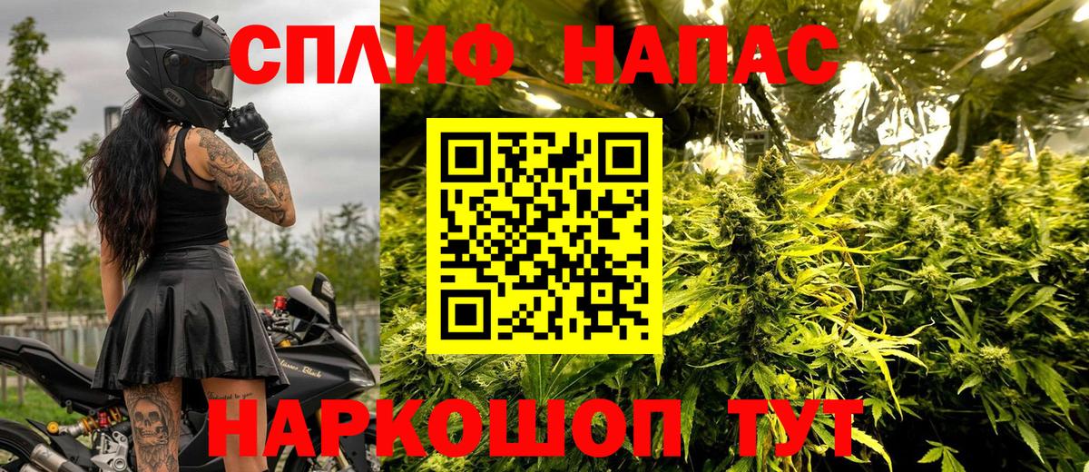 Рубцовск  Конопля MAZAR  Вход с VPN  Бошки марихуана конопля 